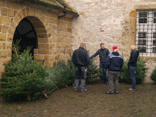 Weihnachtsbaumverkauf 2013